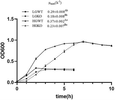 Transcriptome Analysis Reveals Catabolite Control Protein A Regulatory Mechanisms Underlying Glucose-Excess or -Limited Conditions in a Ruminal Bacterium, Streptococcus bovis